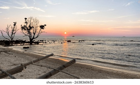 Scenic beach at sunset with gentle waves, driftwood on sand, and silhouetted trees by the sea under a colorful sky, peaceful coastal landscape.