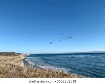 Scenic beach view with group of birds flying over seaside cliffs and grassy fields with waves down below in the California sun - Powered by Shutterstock