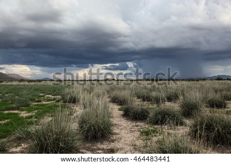 Scenic beautiful distant dramatic heavy blue gray twin columns of precipitation downpour in stormy sky background behind wild green rural outdoor arid bunchgrass pasture landscape

