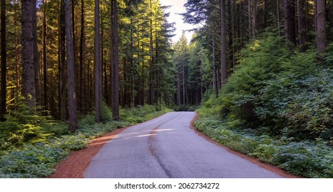 Scenic Bike Path In Green Canadian Rain Forest. Seymour Valley Trailway In North Vancouver, British Columbia, Canada.