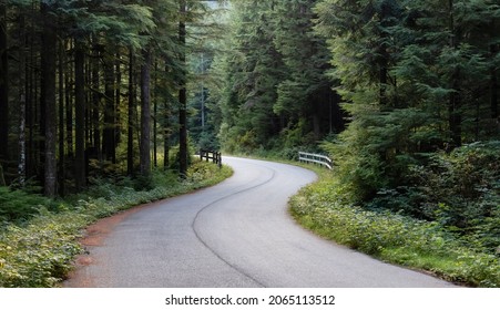 Scenic Bike Path In Green Canadian Rain Forest. Seymour Valley Trailway In North Vancouver, British Columbia, Canada.