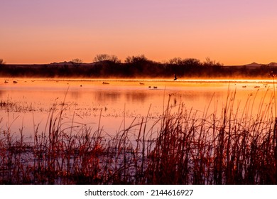 Scenic Bosque Del Apache National Wildlife Reserve, New Mexico 