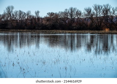 Scenic Bosque Del Apache National Wildlife Reserve, New Mexico 