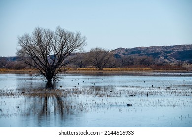 Scenic Bosque Del Apache National Wildlife Reserve, New Mexico 