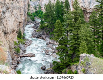 scenic Boulder River flowing through a steep, rocky canyon amid lush green pine trees near Bozeman, Montana