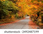 Scenic byway, back roads through rural Vermont, USA in autumn time