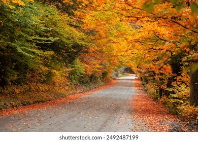 Scenic byway, back roads through rural Vermont, USA in autumn time - Powered by Shutterstock