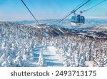 A scenic cable car flying over a piste in Zao hot spring and ski resort, with Juhyo forest (ice trees or snow monsters) all over the slope under blue clear sky on a sunny winter day in Yamagata, Japan