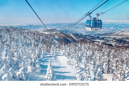 A scenic cable car flying over a piste in Zao hot spring and ski resort, with Juhyo forest (ice trees or snow monsters) all over the slope under blue clear sky on a sunny winter day in Yamagata, Japan - Powered by Shutterstock