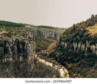 Scenic canyon view featuring dramatic rocky cliffs, forested slopes, and a winding path through the lush valley below.