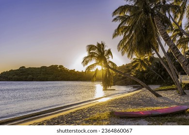 Scenic caribbean sunset with palm trees. Relaxing tropical scene. - Shutterstock ID 2364860067