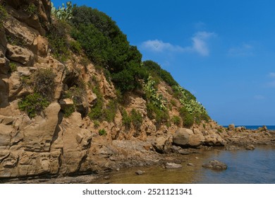 A scenic coastal cliffside covered with greenery and cacti, gently meeting a calm, clear sea under a bright blue sky. A tranquil and picturesque coastal environment - Powered by Shutterstock