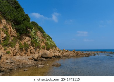 A scenic coastal cliffside covered with greenery and cacti, gently meeting a calm, clear sea under a bright blue sky. A tranquil and picturesque coastal environment - Powered by Shutterstock