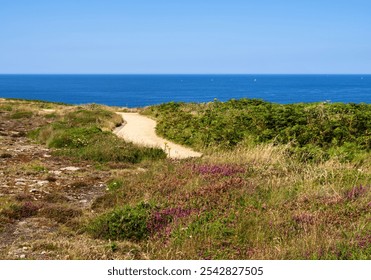 A scenic coastal path at Pointe du Raz, Brittany, with wildflowers and greenery leading to the ocean under a clear blue sky. - Powered by Shutterstock