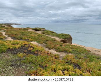 A scenic coastal path winds through a landscape of vibrant green and orange ice plants, with the ocean and cloudy sky stretching out in the distance. - Powered by Shutterstock