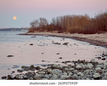 Scenic coastal view at dusk with a full moon rising over a rocky beach and bare trees.