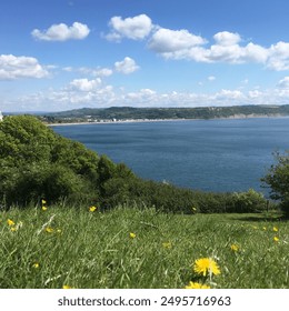 Scenic coastal view with a green meadow and yellow flowers overlooking a calm blue sea. Distant hills and scattered buildings under a sunny sky with fluffy clouds. Ideal for travel and nature content - Powered by Shutterstock