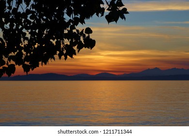 Scenic Colorful Autumn Sunset On Seattle's Elliott Bay. Leaves On Branches Fill Upper Left Third Of Frame. Water Of Bay Lower Frame. Orange Sunset Behind Olympic Mountains In Silhouette In Background.