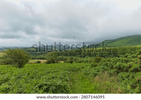 A scenic Cumbrian landscape with a grassy path through green ferns and gorse, leading towards rolling hills and a distant mountain range under an overcast sky.
