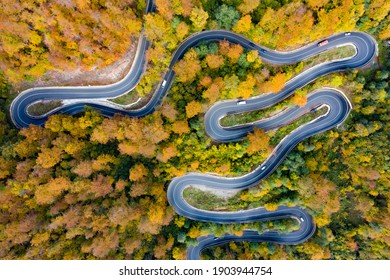 Scenic curvy road seen from a drone in autumn.