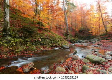 scenic dawn landscape, river in gold sunlight autumn forest, amazing colorful scenery ,red falled leaves on big stones near fast stream,   west Europe, wallpaper background image - Powered by Shutterstock