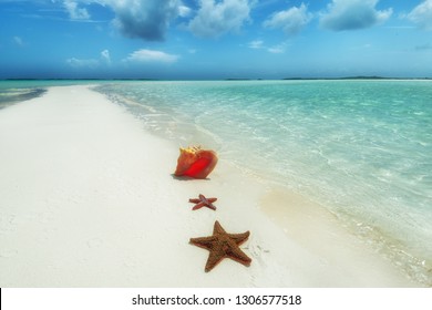 Scenic Dream Beach With Conch Shell And Starfish, Bahamas, Exuma, 