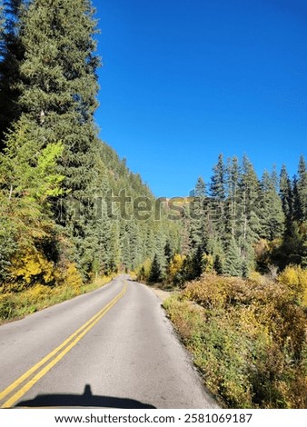 A scenic drive up Mount Lemmon in Tucson, Arizona, on a fall day, with leaves just starting to change color