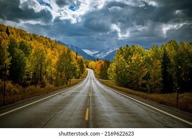 Scenic Drive In The San Juan Mountains Near Telluride Colorado With Yellow Aspen Tree Lit By The Sun And Dramatic Clouds After A Rain Storm During Peal Fall Colors - Horizontal Orientation