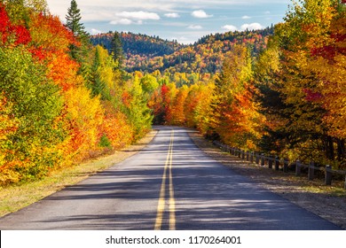 Scenic Drive through Autumn - Shutterstock ID 1170264001
