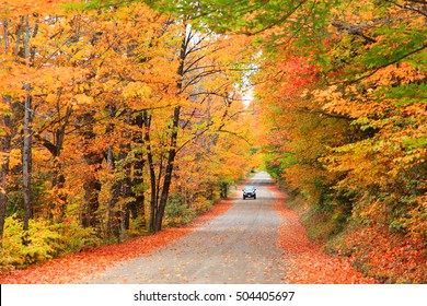 Scenic Drive In White Mountain National Forest In New Hampshire