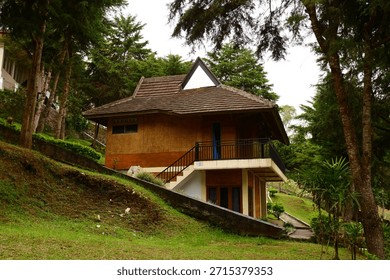 Scenic Elevated Rustic Cabin Surrounded by Lush Greenery in a Forest Setting