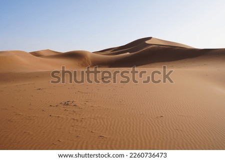Scenic Erg Chigaga dune in Sahara desert in african southeastern MOROCCO, clear blue sky in 2023 warm sunny winter day on January.