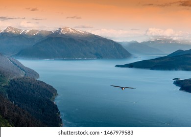 A scenic evening view from the Mount Roberts  in  Juneau, Alaska. A bald eagle is flying over the Gastineau Channel with snow capped mountains in the background.  - Powered by Shutterstock