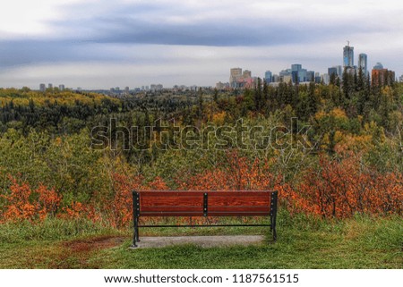 Scenic Fall Bench View 