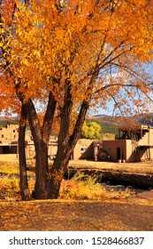 A Scenic Fall Photo Of A Cottonwood Tree In Bright Yellow Fall Foliage Standing In The Taos, New Mexico Village With Stucco Adobe-styled Homes In The Background And Against The Bright Blue Sky.