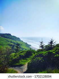 Scenic Fleener Creek Trail On The Beautiful Humboldt County Coast In Northern California