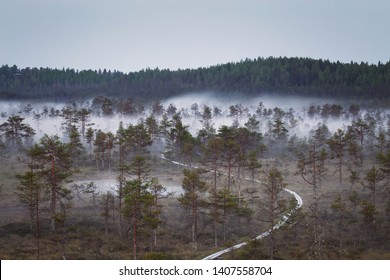 Scenic Foggy Landscape With Mood Forest, Estonia. High Angle Aerial View. Misty Marsh Nature Environment Background.