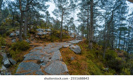 A scenic forest path with stone steps winding through pine trees and rocky terrain. - Powered by Shutterstock