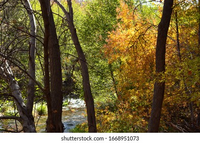 Scenic Forest And Stream In The Fall Verde Valley Arizona Usa