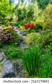 A Scenic Garden Landscape In Seatac, Washington.