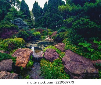 Scenic Garden With Water Feature