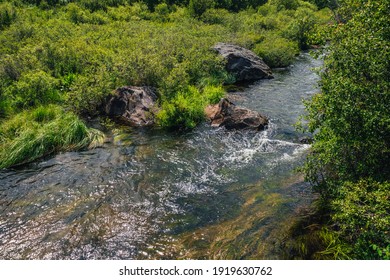 Ruisseau Images Stock Photos Vectors Shutterstock