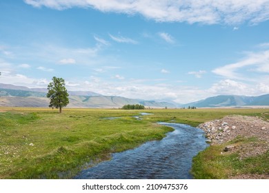 Scenic green landscape with mountain creek in sunlit grassy steppe among mountains under clouds in blue sky at changeable weather. Colorful scenery with mountain brook with clear water in bright sun.