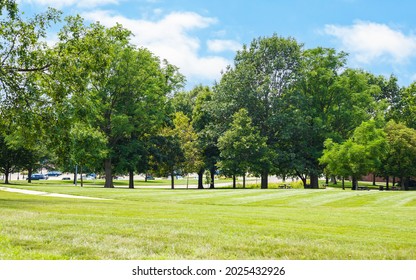 Scenic Of Green Landscape, Public Outdoor Park For Leisure And Picnic In Summer. Greenery Environment, Lush Field And Trees And White Clouds In Blue Sky. Recreation And Relaxation Place With Nature.