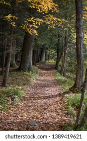 A Scenic Hiking Path In The Autumn At The Dells Of The Eau Claire State Natural Area In Marathon County, Wisconsin, United States, North America, Northern Hemisphere