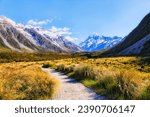 Scenic hiking track in Hooker valley of New Zealand leading to majestic Mt Cook - popular tourist destination.