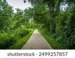 The scenic hiking trail in the forest of Cuyahoga Valley National Park, in Cleveland, a typical Ohio nature.
