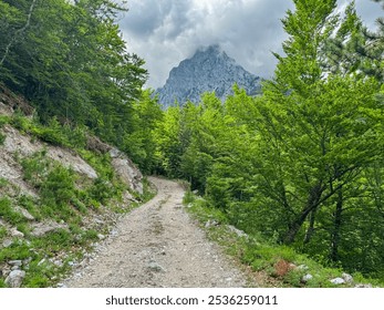 Scenic hiking trail from Valbona to Kukaj through alpine pine forest. Majestic cloud covered mountain peaks of massif Kolata, Albanian Alps (Accursed Mountains), Valbone Valley National Park, Albania - Powered by Shutterstock