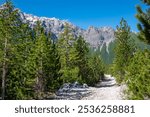 Scenic hiking trail from Valbona to Theth through alpine pine forest. Majestic snow-capped mountain peaks of massif Zhaborret, Albanian Alps (Accursed Mountains), Valbone Valley National Park, Albania