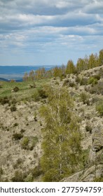 Scenic hillside with sparse trees under a cloudy sky